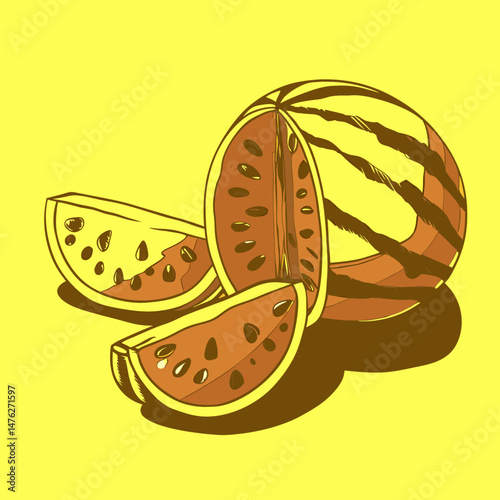 vector illustration of an orange fruit on white background