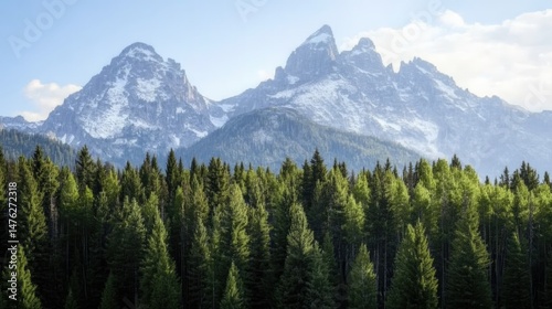 Rugged mountain peaks in Grand Teton National Park, surrounded by lush green pine trees, captured in a warm, natural setting. High-quality landscape photography perfect for travel and nature projects.