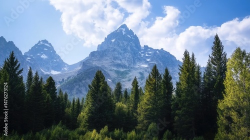 Rugged mountain peaks in Grand Teton National Park, surrounded by lush green pine trees, captured in a warm, natural setting. High-quality landscape photography perfect for travel and nature projects.
