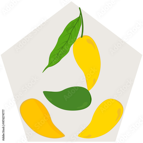 Vector illustration of mango on white background with both ripe and raw fruits.