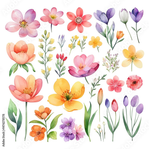 Collection of watercolor spring flowers transparent background