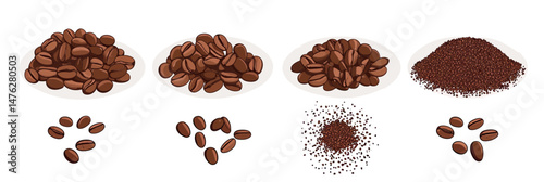 Coffee bean grind size comparison with whole beans extra fine medium coarse ground coffee powder illustration flat style isolated on white background vector
