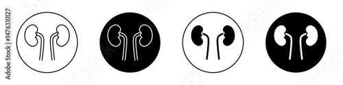 Kidneys flat illustration of vector icon on white background.