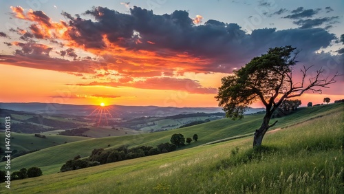 A breathtaking landscape featuring a lone tree silhouetted against a vibrant sunset