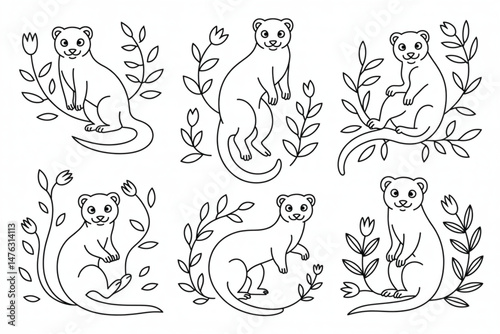 Set of Outline Cute Weasels with Flowers, Black and White Line Art, Vector Illustration for Coloring Book or Design.