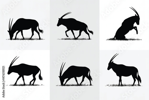 Silhouette vector collection of Oryx Antelope in various poses on white background, wildlife animal concept design