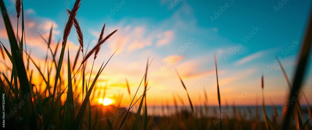 Fototapeta premium Sunset hues paint serene coastal grass stem closeup, golden hour, stem