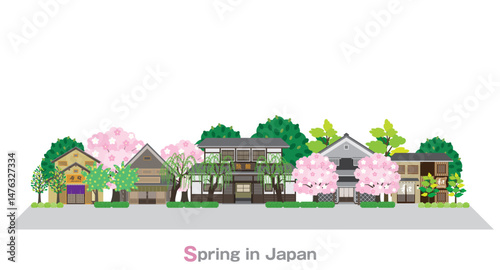 Illustration of a Japanese townscape. Spring in Japan.