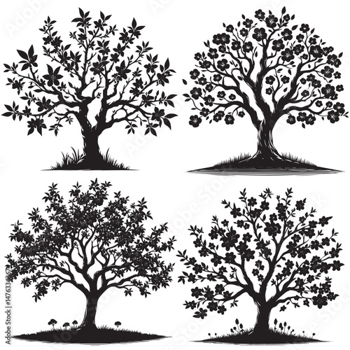 Peach Tree Silhouette isolated on white background