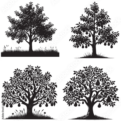 Pear Tree Silhouette set  isolated on white background 