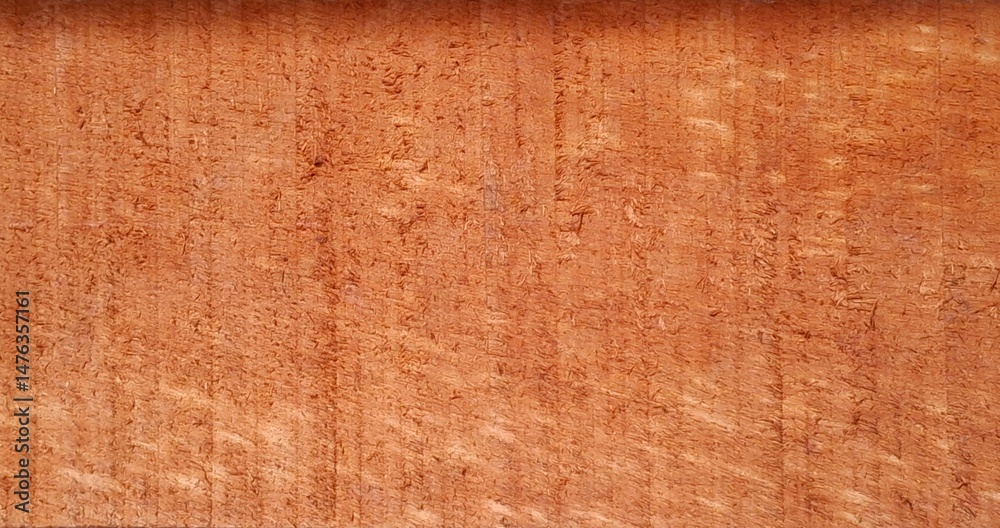 Obraz premium Wood texture background.