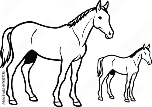  An adult horse and a foal standing a short distance apart within the same frame line art illustration