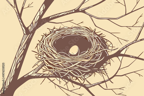 100 a bird's nest with a single brown egg in the center, intricate woven branches, warm lighting, photorealistic, high detail, sharp focus