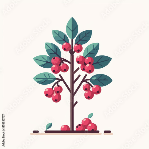 serviceberry, branch, nature, saskatoon, shadbush, natural, leaf, flora, green, plant, food, botany, foliage, tree, season, fresh, fruit, juneberry, spring, bush, beautiful, shrub, outdoors, summer, c