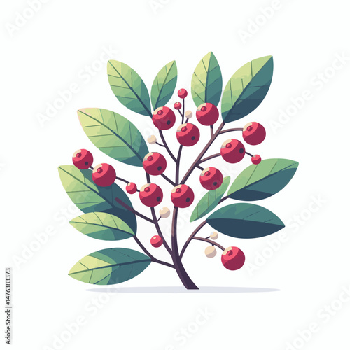 serviceberry, branch, nature, saskatoon, shadbush, natural, leaf, flora, green, plant, food, botany, foliage, tree, season, fresh, fruit, juneberry, spring, bush, beautiful, shrub, outdoors, summer, c