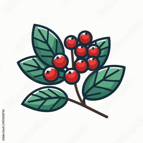 serviceberry, branch, nature, saskatoon, shadbush, natural, leaf, flora, green, plant, food, botany, foliage, tree, season, fresh, fruit, juneberry, spring, bush, beautiful, shrub, outdoors, summer, c