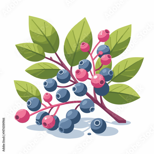 serviceberry, branch, nature, saskatoon, shadbush, natural, leaf, flora, green, plant, food, botany, foliage, tree, season, fresh, fruit, juneberry, spring, bush, beautiful, shrub, outdoors, summer, c