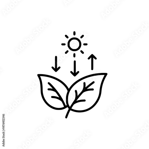 Photosynthesis icon