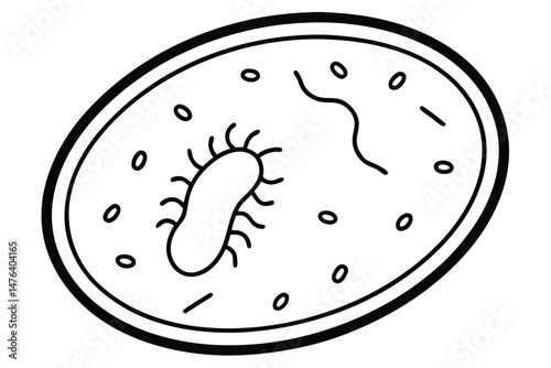 Scientific Vector of Microscopic Bacteria Structure
