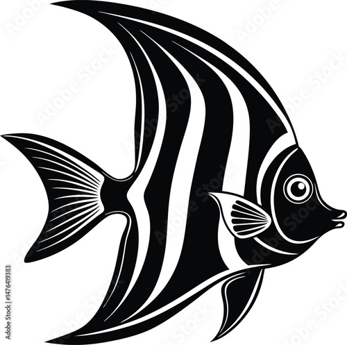 Wings Beneath the Surface A Portrait of the Angelfish