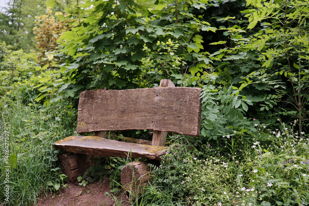 Naklejka premium A Rustic Wooden Bench Nestled and Surrounded by Beautiful Lush Greenery and Nature