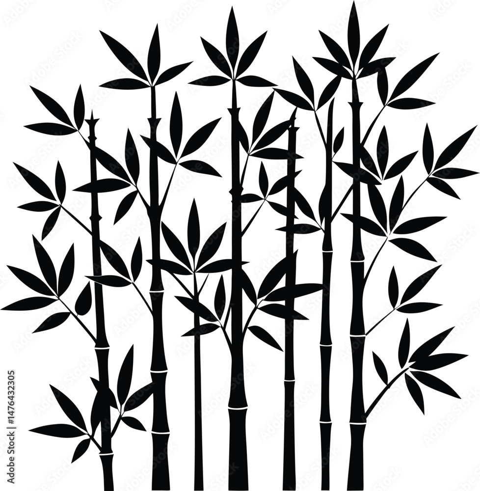 Obraz premium bamboo vector illustration