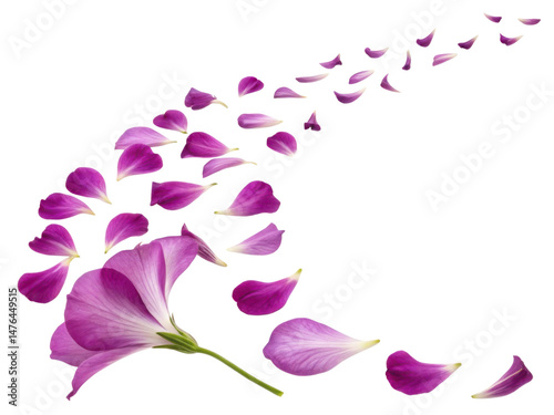 Beautiful gloxinia flower with delicate petals gracefully disperses, creating stunning visual of nature elegance and charm photo