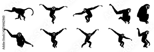 monkey silhouette collection in various poses vector illustration
