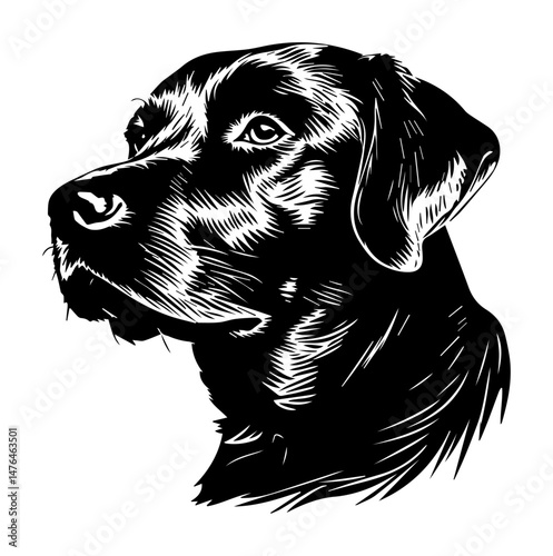 dog portrait head sketch style vector illustration