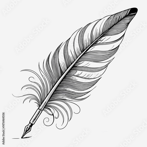 Design a bold, vector illustration of a feather pen with elegant, thick strokes.  Focus on sharp lines and high contrast.