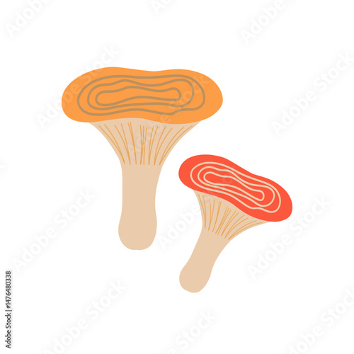 Milky cap vector illustration in hand draw style, cartoon design, nature fungi clipart, woodland mushrooms, cute mushroom drawing, fungi art for crafts and decoration.