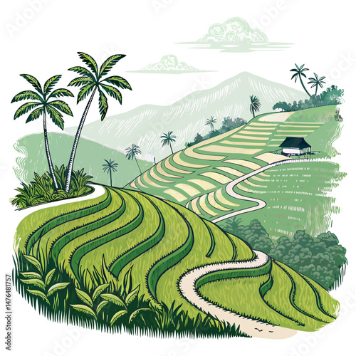 Create a bold, vector illustration of a vibrant rice terrace landscape, showcasing intricate details and dramatic shadows.