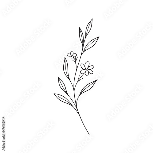 Minimal Line Flowers – Floral Branch for Print or Wallpaper