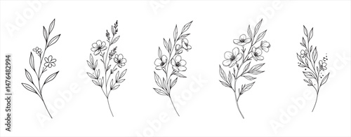 Design a minimalist floral branch line art style, suitable for use as a logo or tattoo.