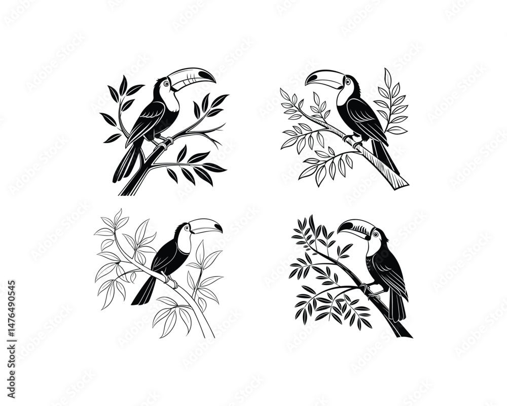 Fototapeta premium toucan silhouette vector on white background