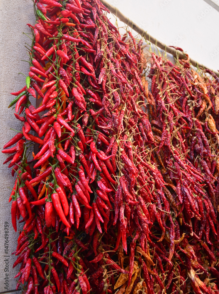 Naklejka premium Red Peppers in a Market Drying in the Sun