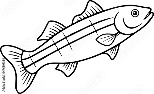 bass fish outline vector illustration line art