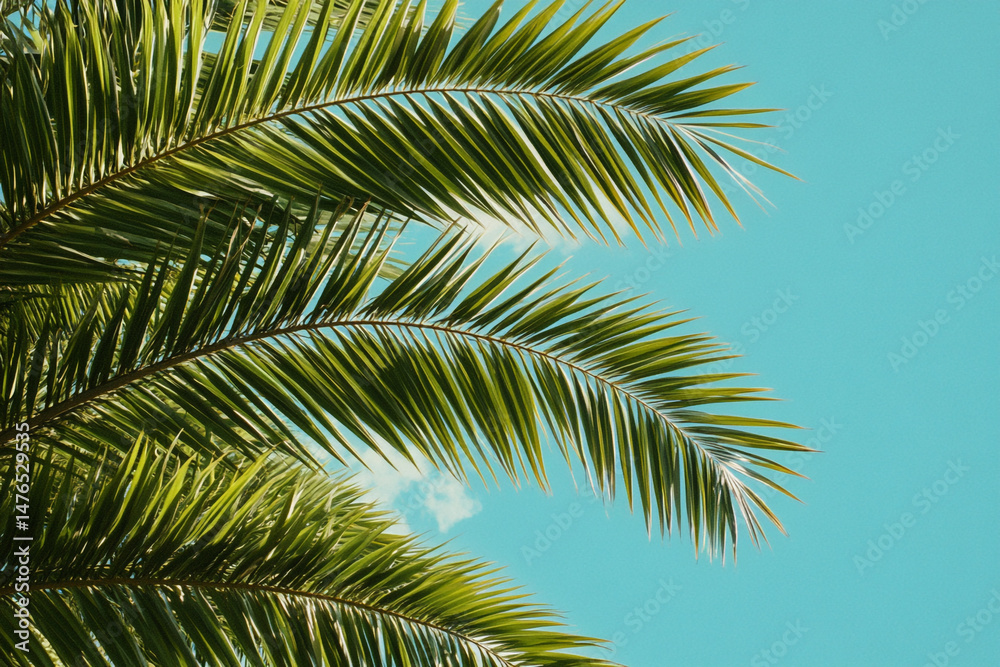 Naklejka premium Palm fronds against a vibrant blue sky Tropical summer vacation paradise