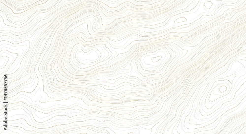 Topographic map isolated on white background for geological studies, cartography. Topographic map isolated on white background for geological studies, cartography.