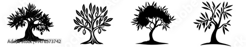 Icon of an isolated olive tree silhouette with leaves, suitable for a modern label of olive oil, symbolizing organic food products and eco-friendly extra virgin olive oil
