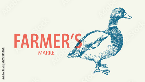 Hand drawn farm vector illustration of sketch duck. Vintage retro banner. Menu design