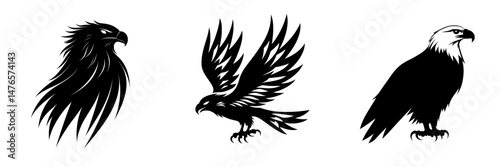 The image of a falcon bird in flight is shown as a monochrome hawk, representing the modern concept of wild eagles and falconry as a sport logo