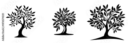 Olive tree and olive oil are iconic symbols, featuring leaves on branches, that represent a company specializing in modern Mediterranean food and extra virgin products, with the olive tree being a
