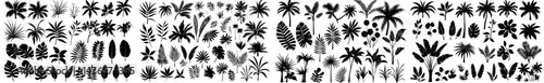 Leaves are depicted in silhouettes, featuring a black leaf, palm tree foliage, and an isolated flat planting collection