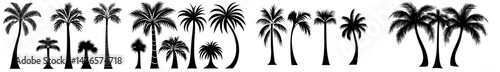 Silhouettes of black palm trees stand out against a backdrop of isolated palms and coconut trees, accompanied by beach bush and elements of a tropical exotic forest, evoking a sense of summer ocean