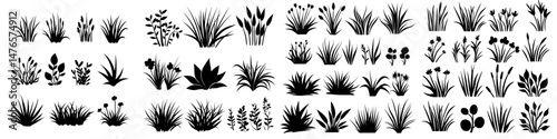 Black silhouettes of grass are featured, along with isolated bush silhouettes that border meadows or lawns, as part of a collection of modern and neoteric forest elements for spring and summer