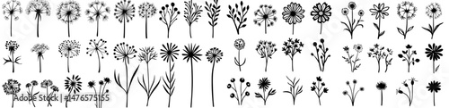 Modern floral embellishments or monochrome plant decorations feature outlines of floral twigs and sprigs, umbrella flowers, and various field or garden herbs