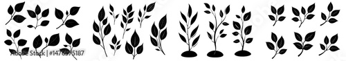 Icons of leaf silhouettes, tree leaves, and plant seeds are featured, including modern isolated forest representations of maple, birch, or poplar leaves, as well as rowan berries, oak acorns, and