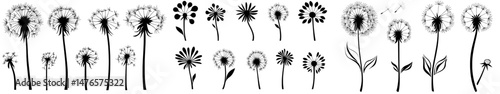 Floral and botanical monochrome decorations often feature field or garden herbs, including seeds, buds, and stems, alongside twigs and sprigs
