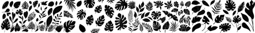 Tropical leaves with a black textured appearance are depicted alongside botanical silhouettes and a sketch of a grunge dirty leaf and branch, evoking exotic palm jungle foliage in a neoteric modern